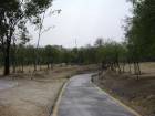 Parque Central_11