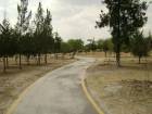 Parque Central_6