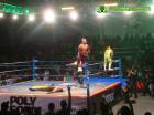 Luchas AAA en Izcalli