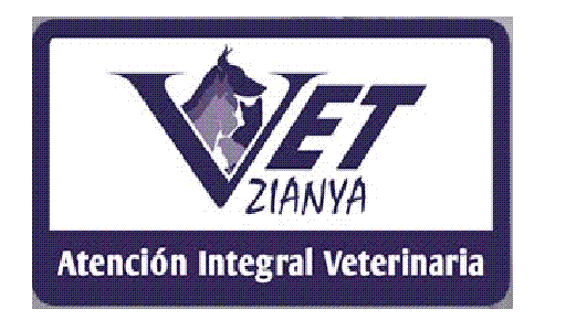 ATENCION INTEGRAL VETERINARIA 