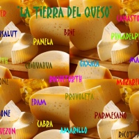 LA TIERRA DEL QUESO S.A. DE C.V.